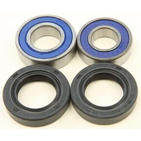 ALL BALLS Wheel Bearing & Seal Kit