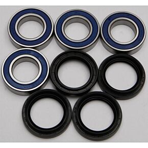 ALL BALLS Wheel Bearing & Seal Kit