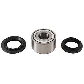 ALL BALLS Wheel Bearing & Seal Kit