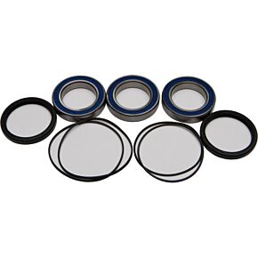 ALL BALLS Wheel Bearing & Seal Kit