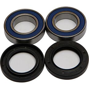 ALL BALLS Wheel Bearing & Seal Kit