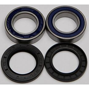 ALL BALLS Wheel Bearing & Seal Kit