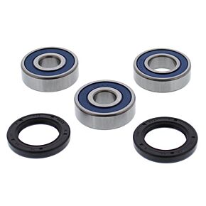 ALL BALLS Wheel Bearing & Seal Kit
