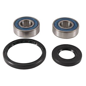 ALL BALLS Wheel Bearing & Seal Kit