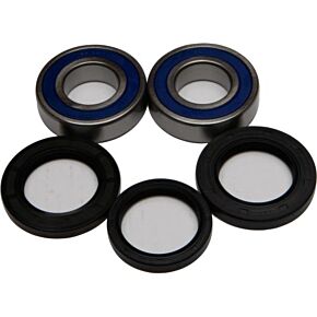 ALL BALLS Wheel Bearing & Seal Kit