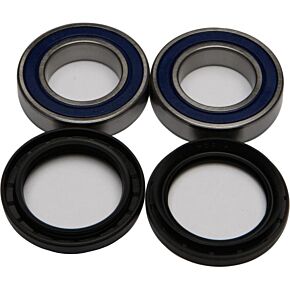 ALL BALLS Wheel Bearing & Seal Kit