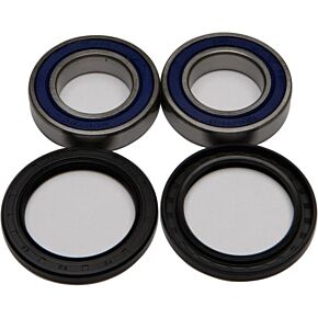 ALL BALLS Wheel Bearing & Seal Kit