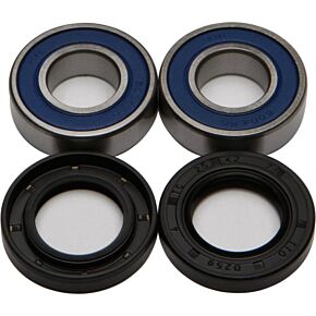 ALL BALLS Wheel Bearing & Seal Kit