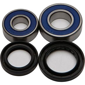 ALL BALLS Wheel Bearing & Seal Kit