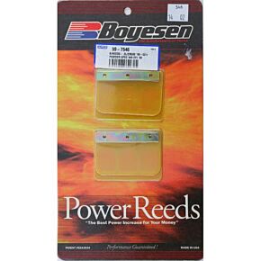 BOYESEN Snowmobile Reeds