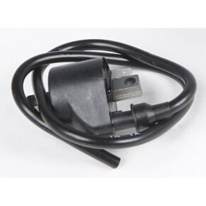 BRONCO Atv Ignition Coil