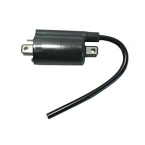 BRONCO Atv Ignition Coil