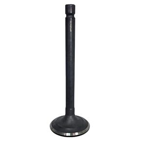 BRONCO Exhaust Valve