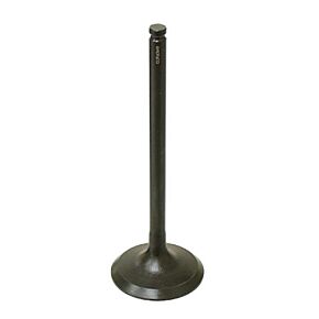 BRONCO Exhaust Valve