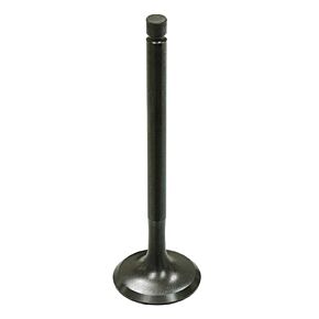 BRONCO Exhaust Valve