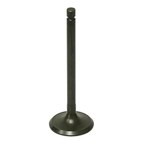 BRONCO Exhaust Valve