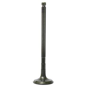 BRONCO Exhaust Valve