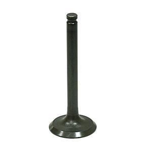 BRONCO Exhaust Valve