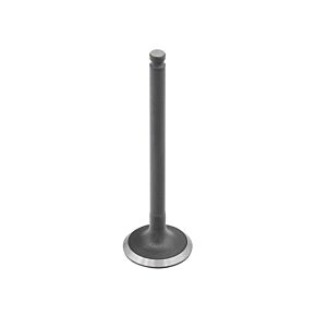 BRONCO Intake Valve Suz