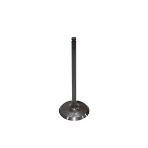 BRONCO Intake Valve Yam