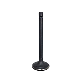BRONCO Intake Valve