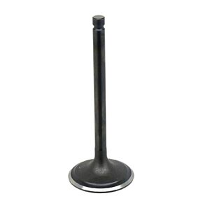 BRONCO Intake Valve