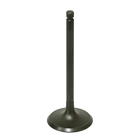 BRONCO Intake Valve