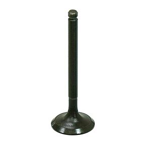 BRONCO Intake Valve