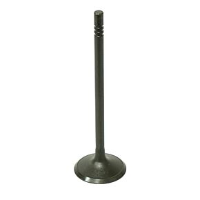 BRONCO Intake Valve