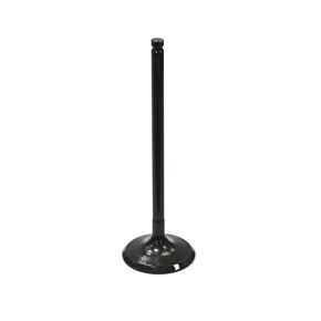 BRONCO Intake Valve