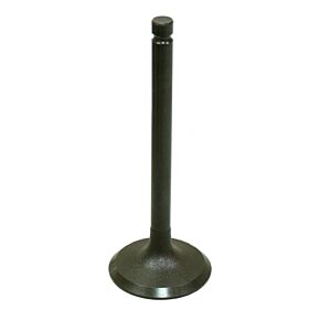 BRONCO Intake Valve
