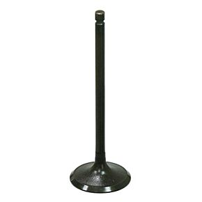 BRONCO Intake Valve