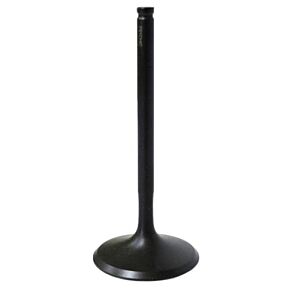 BRONCO Intake Valve