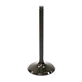 BRONCO Intake Valve