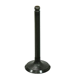 BRONCO Intake Valve