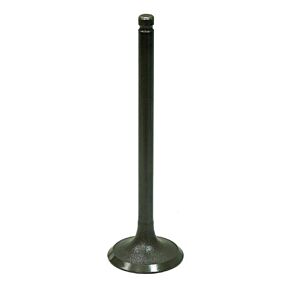 BRONCO Intake Valve