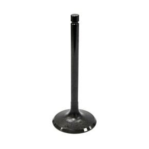 BRONCO Intake Valve