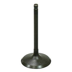 BRONCO Intake Valve