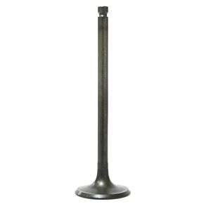BRONCO Intake Valve
