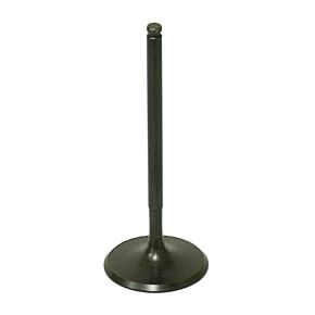 BRONCO Intake Valve