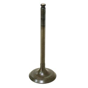 BRONCO Intake Valve