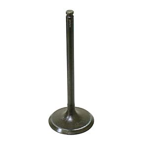 BRONCO Intake Valve