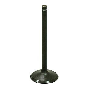 BRONCO Intake Valve