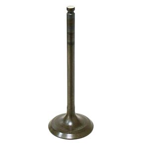 BRONCO Intake Valve
