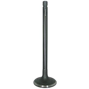 BRONCO Intake Valve