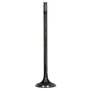 BRONCO Intake Valve