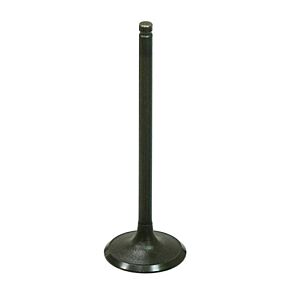 BRONCO Intake Valve