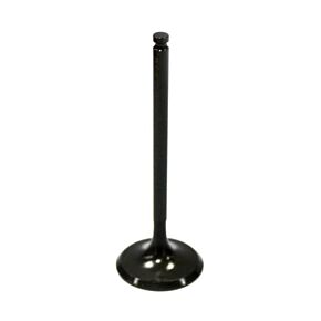 BRONCO Intake Valve