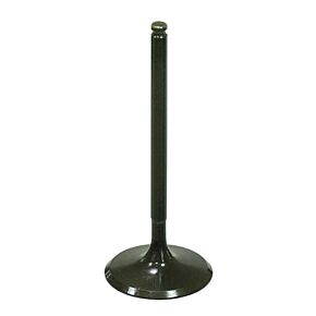 BRONCO Intake Valve