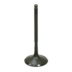 BRONCO Intake Valve